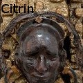 Ione Citrin -  - Sculpture
