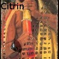 Ione Citrin -  - Drawings