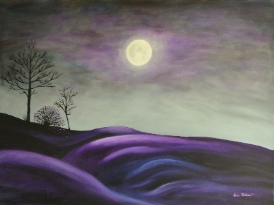 Midnight Light